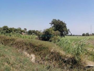 Terrenos Agricolas Venta CAL. Predio San Francisco, Valle Chancay  - CHICLAYO