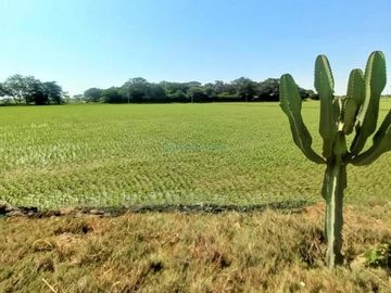 Terrenos Agricolas Venta CAL. Predio San Francisco, Valle Chancay  - CHICLAYO
