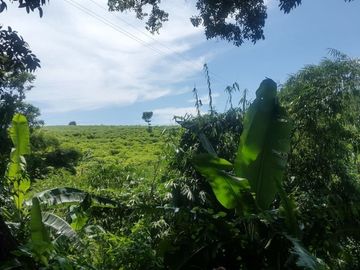 Jual Cepat Tanah Murah 200 Ha Di Cikembar Kota Sukabumi