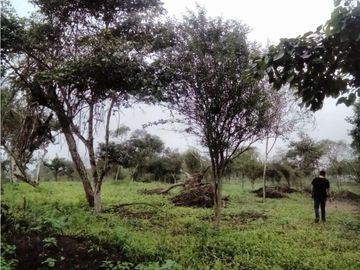 Se venden terrenos Quintas Rancho Spondylus!**