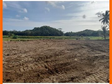 Tanah Kulon Progo, Utara Stasiun Kedundang; SHM