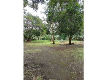 VENDO/ALQUILO CASA DE 4HAB CAIMITO
