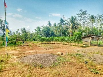 Tanah Kavling Lokasi Area Kepanjen 55 Juta 6x10.4