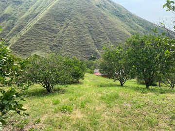 finca en venta en vijes. Cod V13038