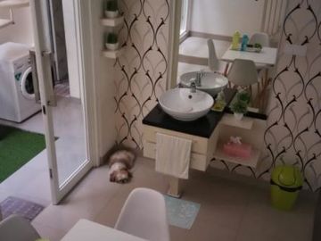 Rumah 2,5 Lantai Furnished Koala Regency One Gate System