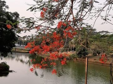 Rumah dijual Taman Telaga Golf BSD City Lux dpn Danau BU