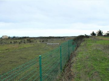 TERRENO INDUSTRIAL 10.000 M2 CON SALIDA DIRECTO A CARRETERA