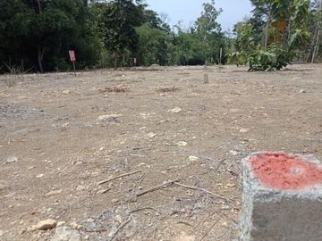 Tanah Luas 140-an, Belakang polres Wates , Bisa Bayar Tempo
