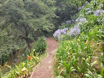 BELLA CASA CON TERRAZA ABIERTA, VISTA AL PUEBLO Y COLINDA CON EL BOSQUE