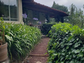 BELLA CASA CON TERRAZA ABIERTA, VISTA AL PUEBLO Y COLINDA CON EL BOSQUE