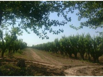 Finca en Venta en Jocolí, Lavalle - Mendoza - Oportunidad Rural 48 Hs