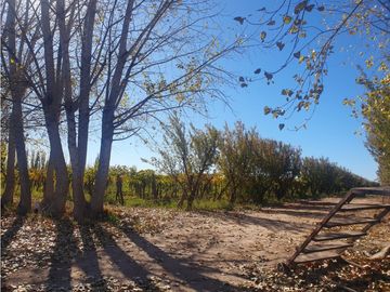 Finca en Venta en Jocolí, Lavalle - Mendoza - Oportunidad Rural 48 Hs