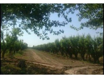 Finca en Venta en Jocolí, Lavalle - Mendoza - Oportunidad Rural 48 Hs