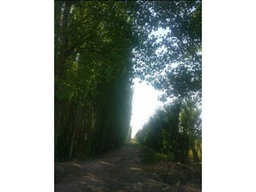 Finca en Venta en Jocolí, Lavalle - Mendoza - Oportunidad Rural 48 Hs