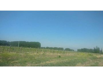 Finca en Venta en Jocolí, Lavalle - Mendoza - Oportunidad Rural 48 Hs
