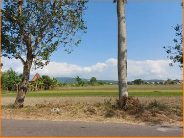 Jual Tanah Kavling Strategis SHM di Prambanan Niaga