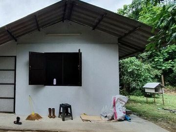 Land for sale in Mae Faek, Chiang Mai