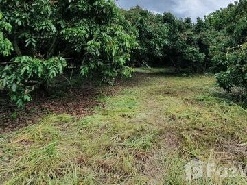 Land for sale in Mae Faek, Chiang Mai