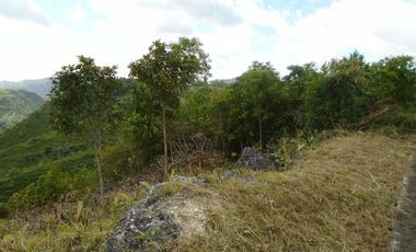 254 Sqm Subdivision Lot for Sale in Vista Grande Talisay Cebu City with Overlooking Sea and Mountain Views