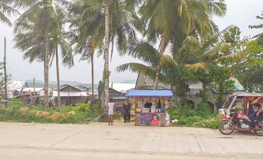 TITLED PREMIUM LOT WITH HOUSE | SIARGAO, DAPA.