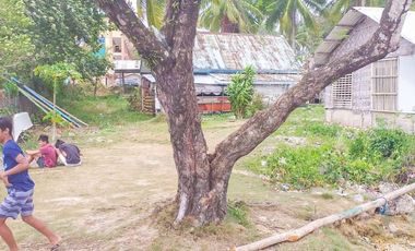 TITLED PREMIUM LOT WITH HOUSE | SIARGAO, DAPA.