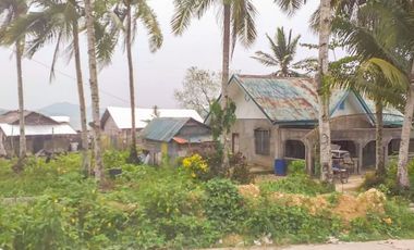 TITLED PREMIUM LOT WITH HOUSE | SIARGAO, DAPA.