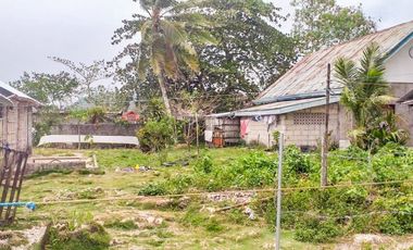 TITLED PREMIUM LOT WITH HOUSE | SIARGAO, DAPA.
