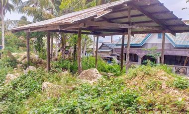TITLED PREMIUM LOT WITH HOUSE | SIARGAO, DAPA.