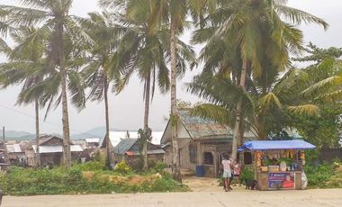 TITLED PREMIUM LOT WITH HOUSE | SIARGAO, DAPA.