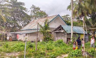 TITLED PREMIUM LOT WITH HOUSE | SIARGAO, DAPA.