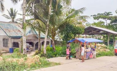 TITLED PREMIUM LOT WITH HOUSE | SIARGAO, DAPA.