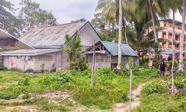 TITLED PREMIUM LOT WITH HOUSE | SIARGAO, DAPA.