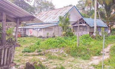 TITLED PREMIUM LOT WITH HOUSE | SIARGAO, DAPA.