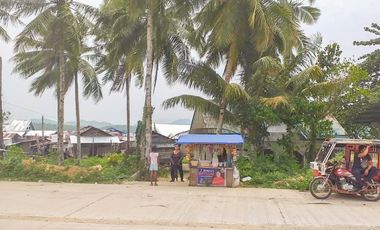 TITLED PREMIUM LOT WITH HOUSE | SIARGAO, DAPA.