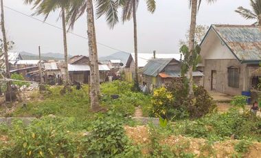 TITLED PREMIUM LOT WITH HOUSE | SIARGAO, DAPA.