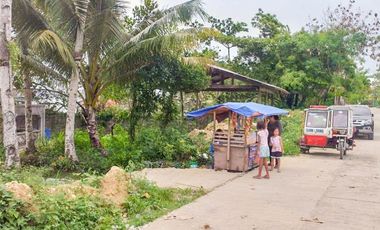 TITLED PREMIUM LOT WITH HOUSE | SIARGAO, DAPA.