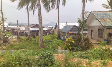 TITLED PREMIUM LOT WITH HOUSE | SIARGAO, DAPA.