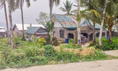 TITLED PREMIUM LOT WITH HOUSE | SIARGAO, DAPA.