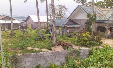 TITLED PREMIUM LOT WITH HOUSE | SIARGAO, DAPA.