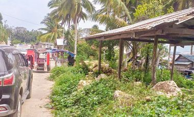 TITLED PREMIUM LOT WITH HOUSE | SIARGAO, DAPA.