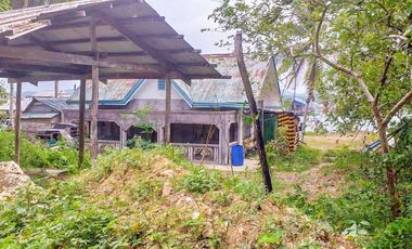 TITLED PREMIUM LOT WITH HOUSE | SIARGAO, DAPA.