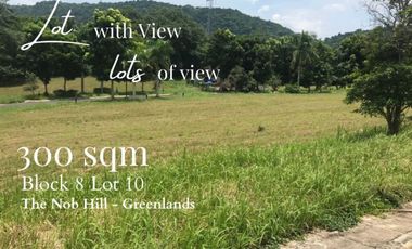 300 SQM LOT FOR SALE IN TAGAYTAY CITY