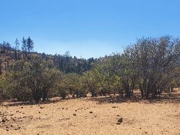 Parcela en Venta en Camino Lo Orozco Acceso Los Quillayes