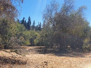 Parcela en Venta en Camino Lo Orozco Acceso Los Quillayes