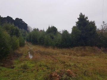 Se Vende Terreno Zona Urbana En Schneider,colinda Con Proyecto Av