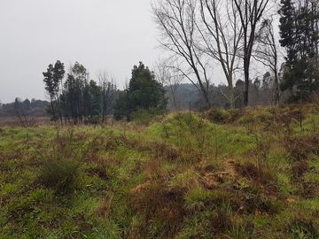 Se Vende Terreno Zona Urbana En Schneider,colinda Con Proyecto Av