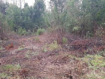 Se Vende Terreno Zona Urbana En Schneider,colinda Con Proyecto Av