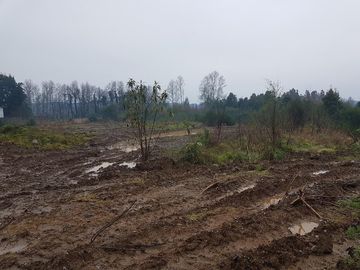 Se Vende Terreno Zona Urbana En Schneider,colinda Con Proyecto Av