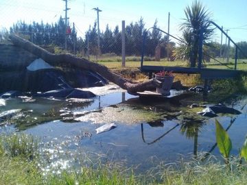HERMOSA CASA QUINTA EN VENTA CERCA DEL RIO DE LA PLATA, ACEPTA PERMUTA, AV SAN MARTIN 100 -PUNTA INDIO-