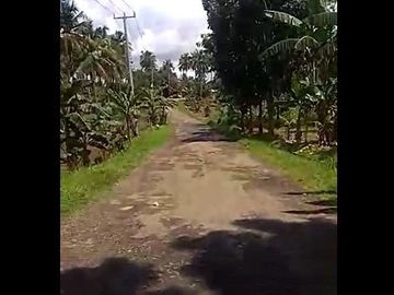 Dijual Tanah 400 Hektar Di Tegal Buleud Sukabumi